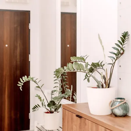 Partnerapart Rakowicka 14 Krakow