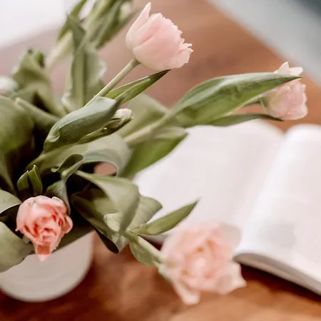 Partnerapart Rakowicka 14