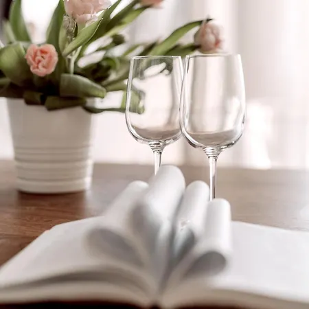 Partnerapart Rakowicka 14 公寓